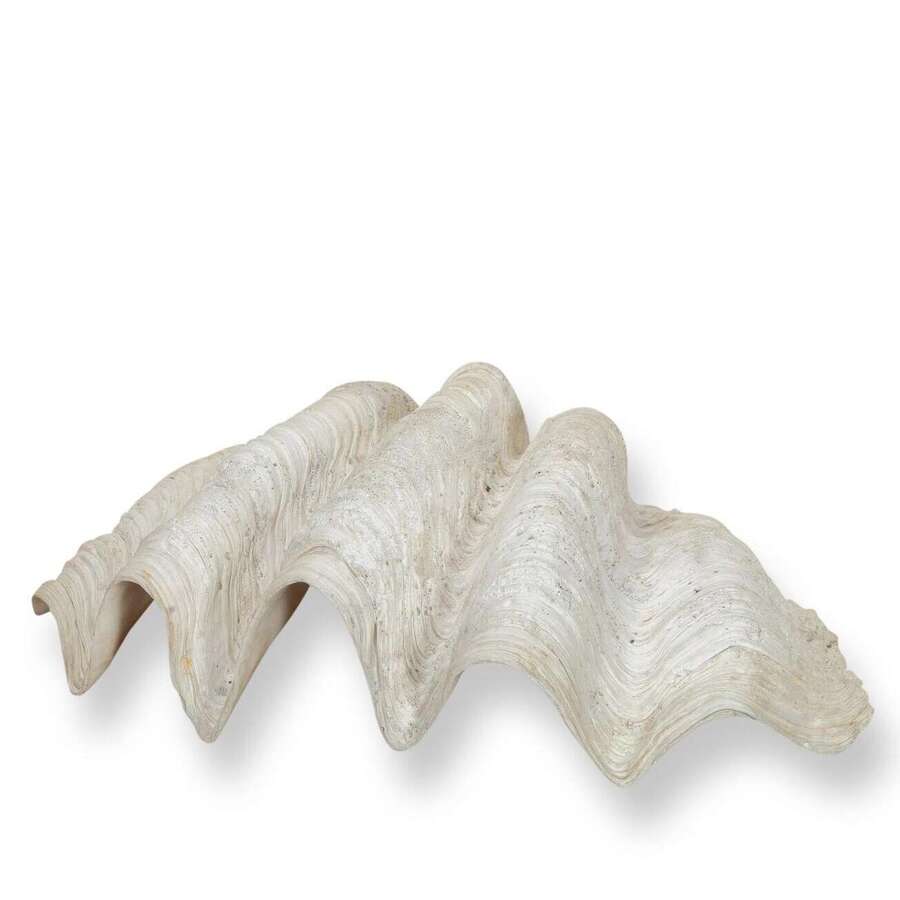 Large 19th Century Indonesian Clam Shell
