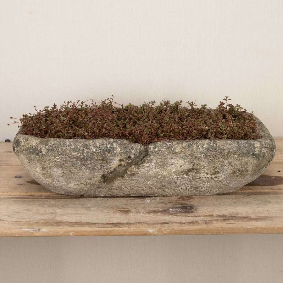 19th Century French Oblong Stone Planter