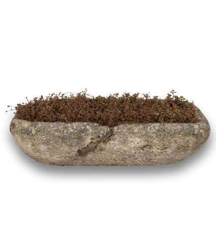 19th Century French Oblong Stone Planter