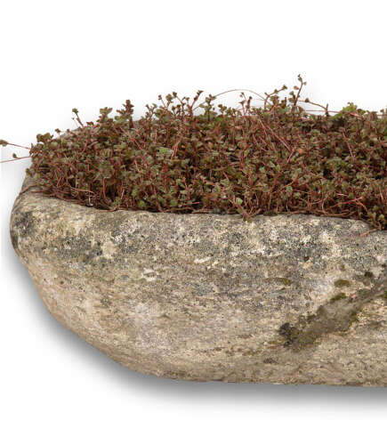 19th Century French Oblong Stone Planter